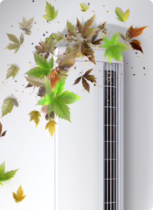 Promotion banner 2